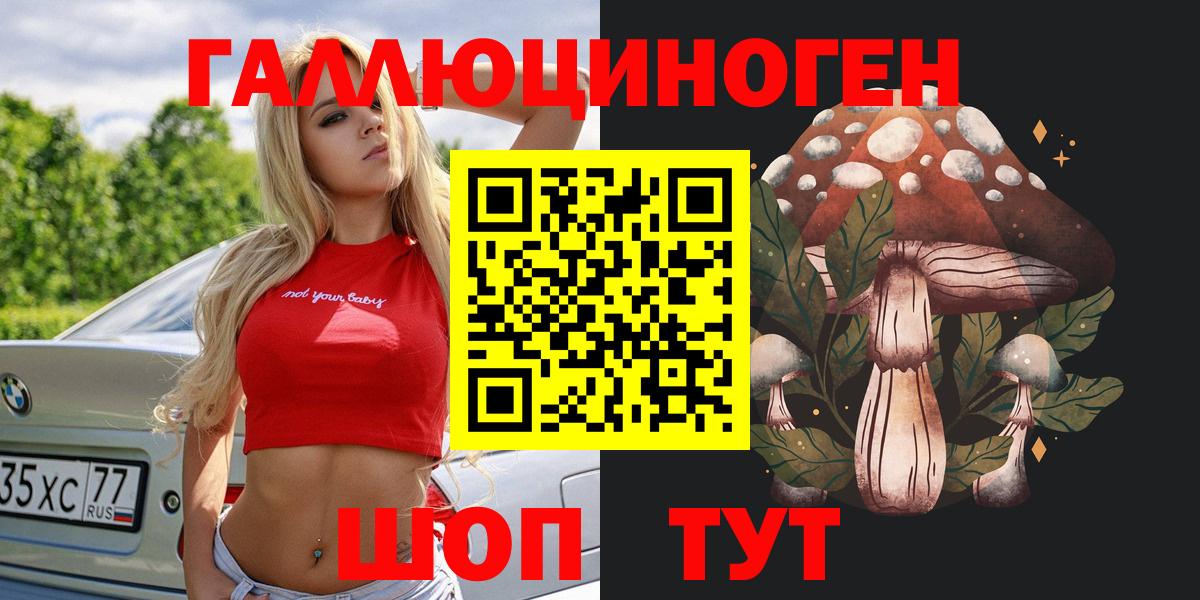 Псилоцибиновые грибы Psilocybe  Вход с VPN  Елабуга  Галлюциногенные грибы мицелий 